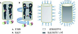 活性炭對(duì)甲苯的吸附測試