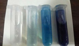 活性炭吸附亞甲基藍研究
